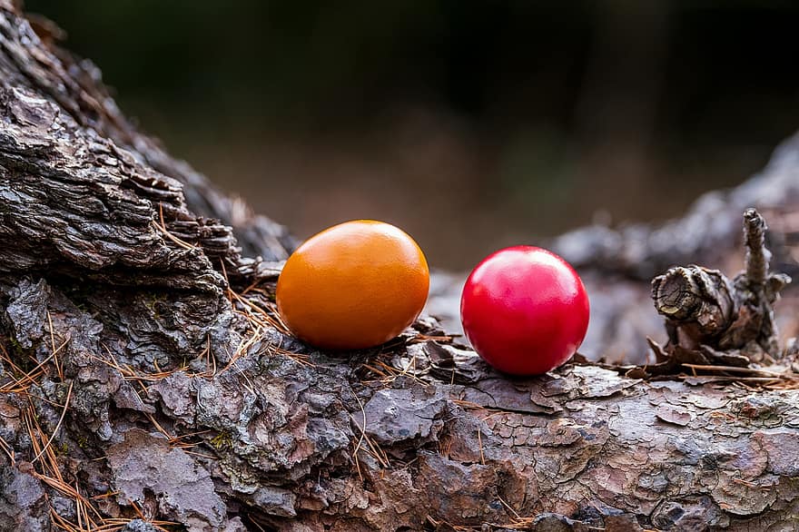 huevos, huevos de Pascua, tronco de arbol, de colores, multicolor, comida, naturaleza, hora del este, de cerca, árbol, madera