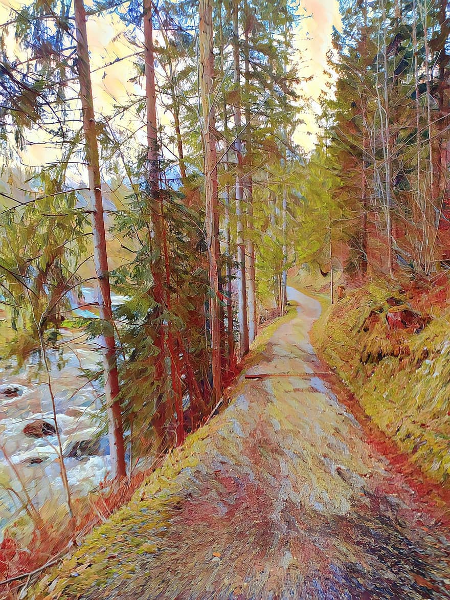 Road, Forest, Stream, Trees, Pine, tree, autumn, landscape, yellow, season, rural scene