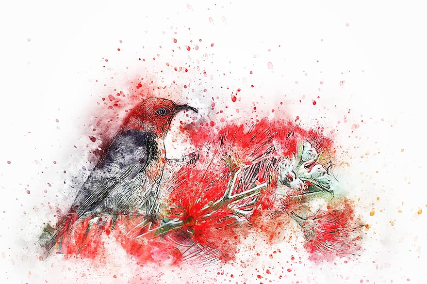 Bird, Feathers, Flowers, Animal, Art, Abstract, Watercolor, Vintage, Nature, T-shirt, Artistic