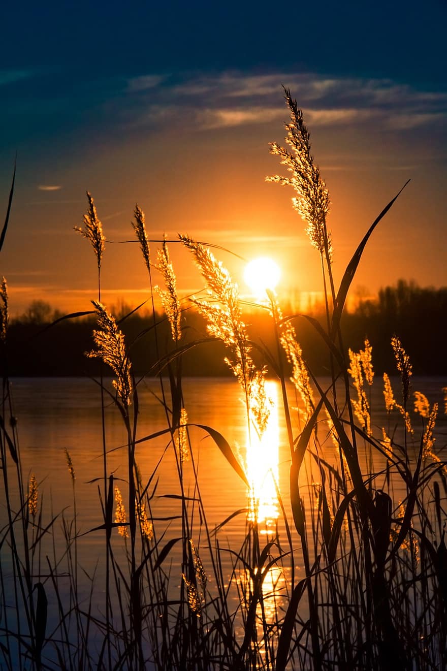 matahari terbenam, danau, rumput, matahari, sinar matahari, refleksi, air, matahari terbit, Fajar, senja