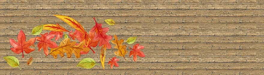 web, prapor, šablona, podzim, listy, dřevo, oranžový, zelená textura, víry, Webové bannery, podnikání