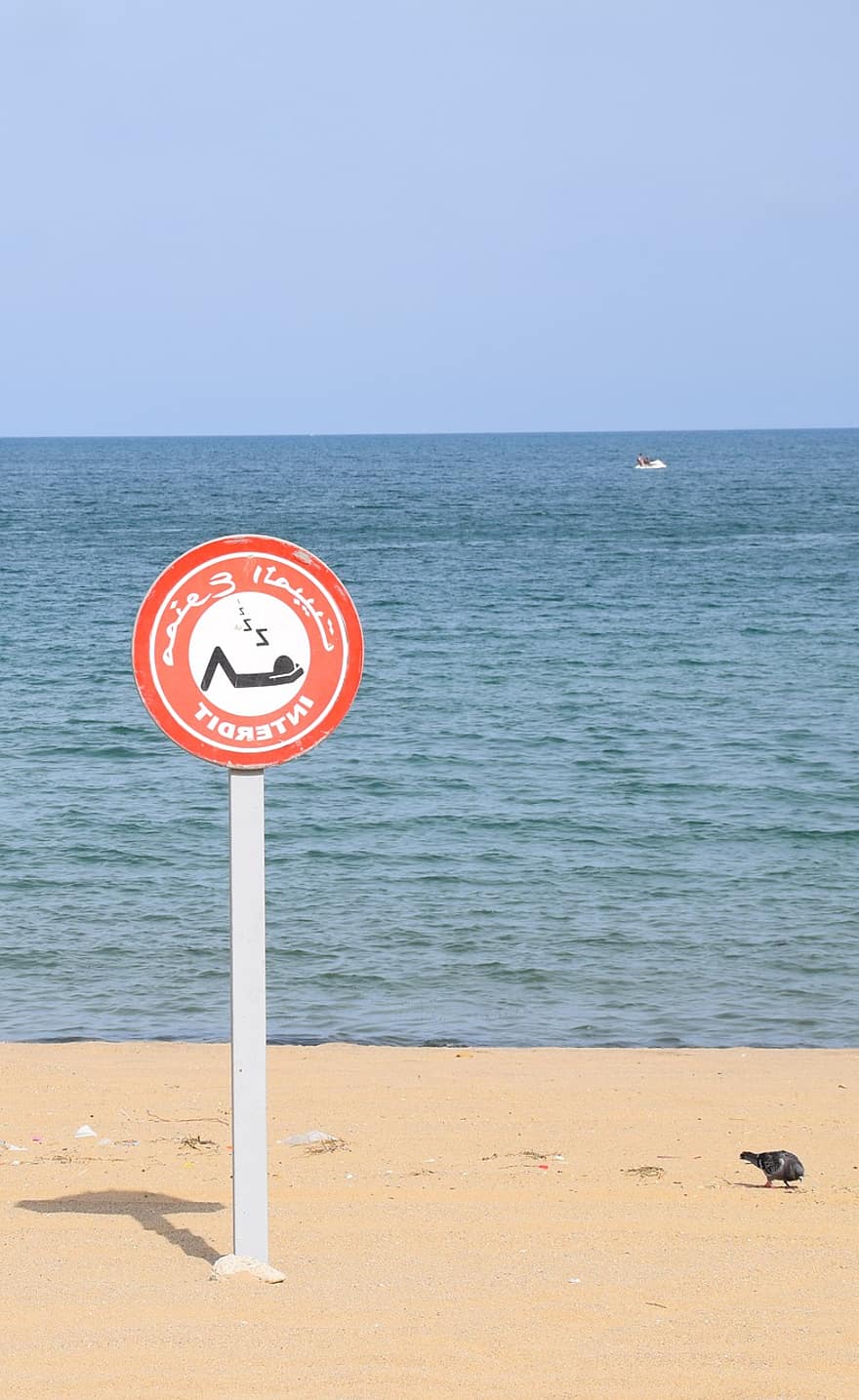 cartello, avvertimento, spiaggia, sabbia, oceano, onde, mare, vacanza
