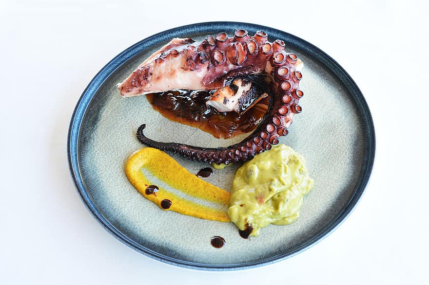 Octopus, schotel, voedsel, zeevruchten, fijnproever, maaltijd, keuken