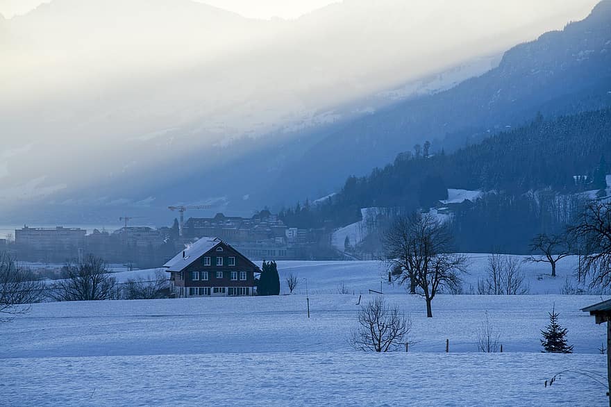 casas, cabanas, aldeia, neve, inverno, tarde, Suíça, montanha, panorama, gelo, árvore