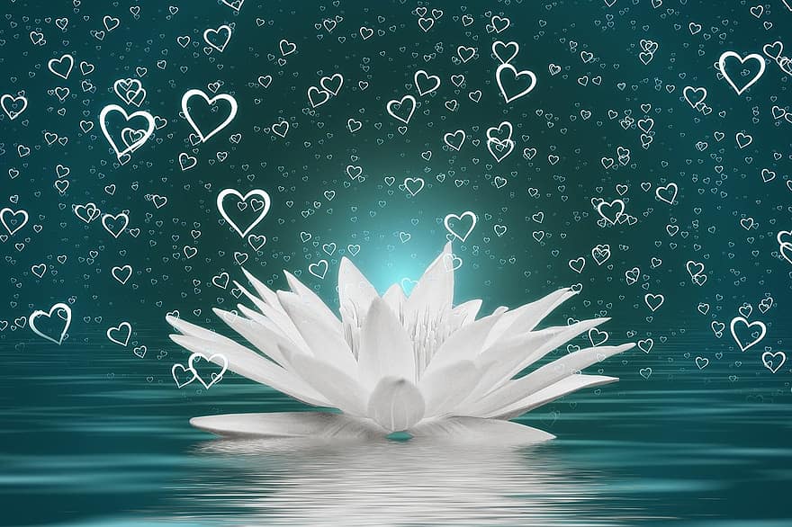 قلب ، الزنبق المائي ، ماء ، موجة ، حب ، عيد الحب ، رومانسي