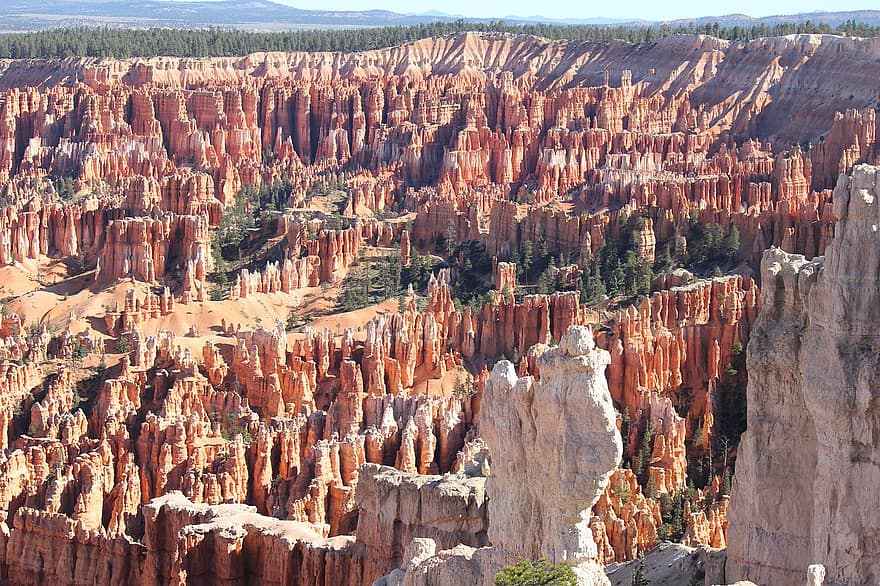 bryce canyon, usa, kanjon, öken-, amerika, resa, turism, destination, utforskning, sandsten, eroderade