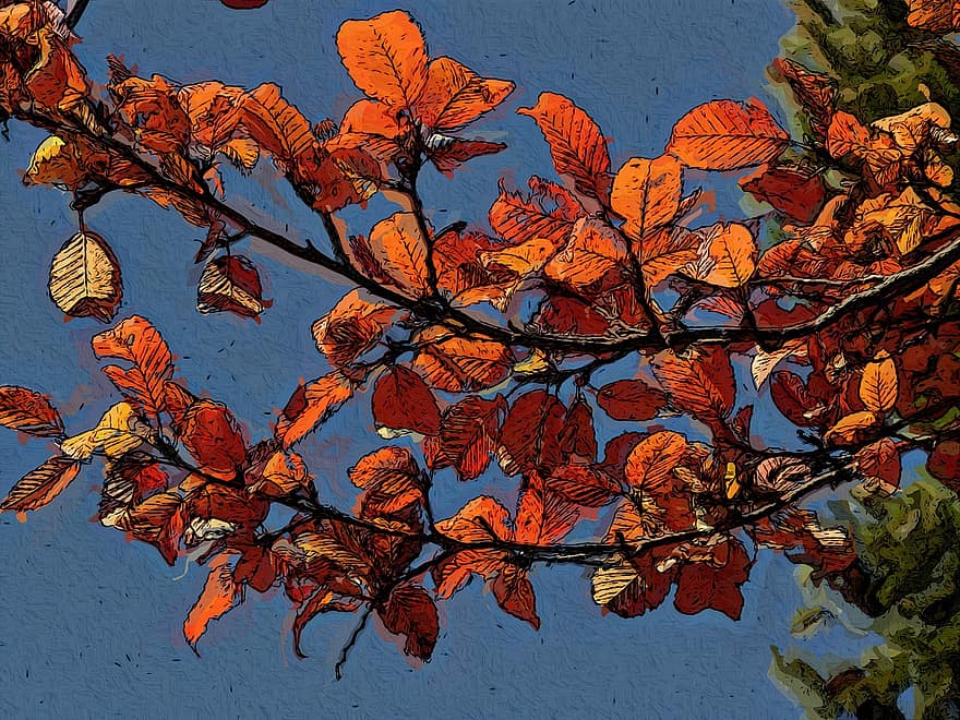 listy, větev, strom, podzim, Příroda, rostlina, slunný, barevný, vegetace, říjen, barvy
