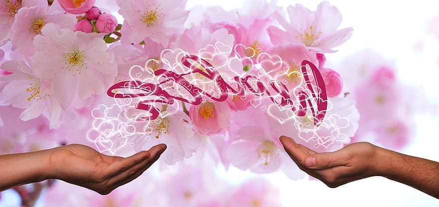 käsissä, sydän, terveys, korona, koronaviirus, tervehdys, japanilaiset kirsikkapuut, onnittelukortti, toiveet, kukat, kevät