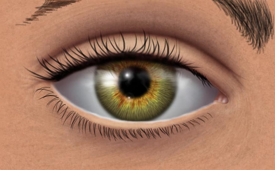 vihreä silmä, digitaalinen maalaus, Katso, iiris, näkemys, silmä