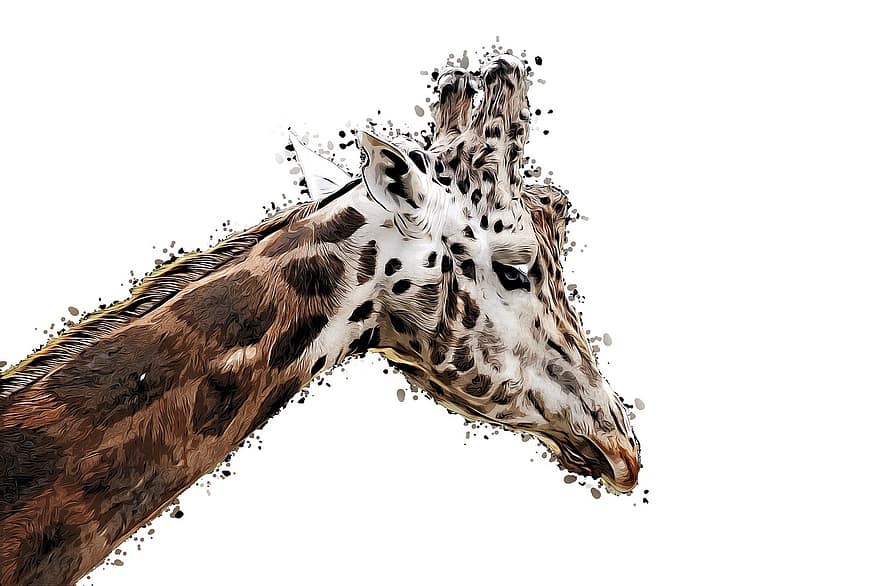 žirafa, výkres, zvíře, kreslená pohádka, umělecky, Hnědý krk