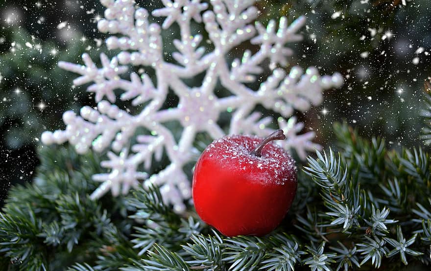 عيد الميلاد ، ندفة الثلج ، تفاحة ، فروع التنوب ، ثلج ، الصقيع ، شتاء ، زينة عيد الميلاد ، شجرة التنوب ، الثلج يتساقط ، القدوم