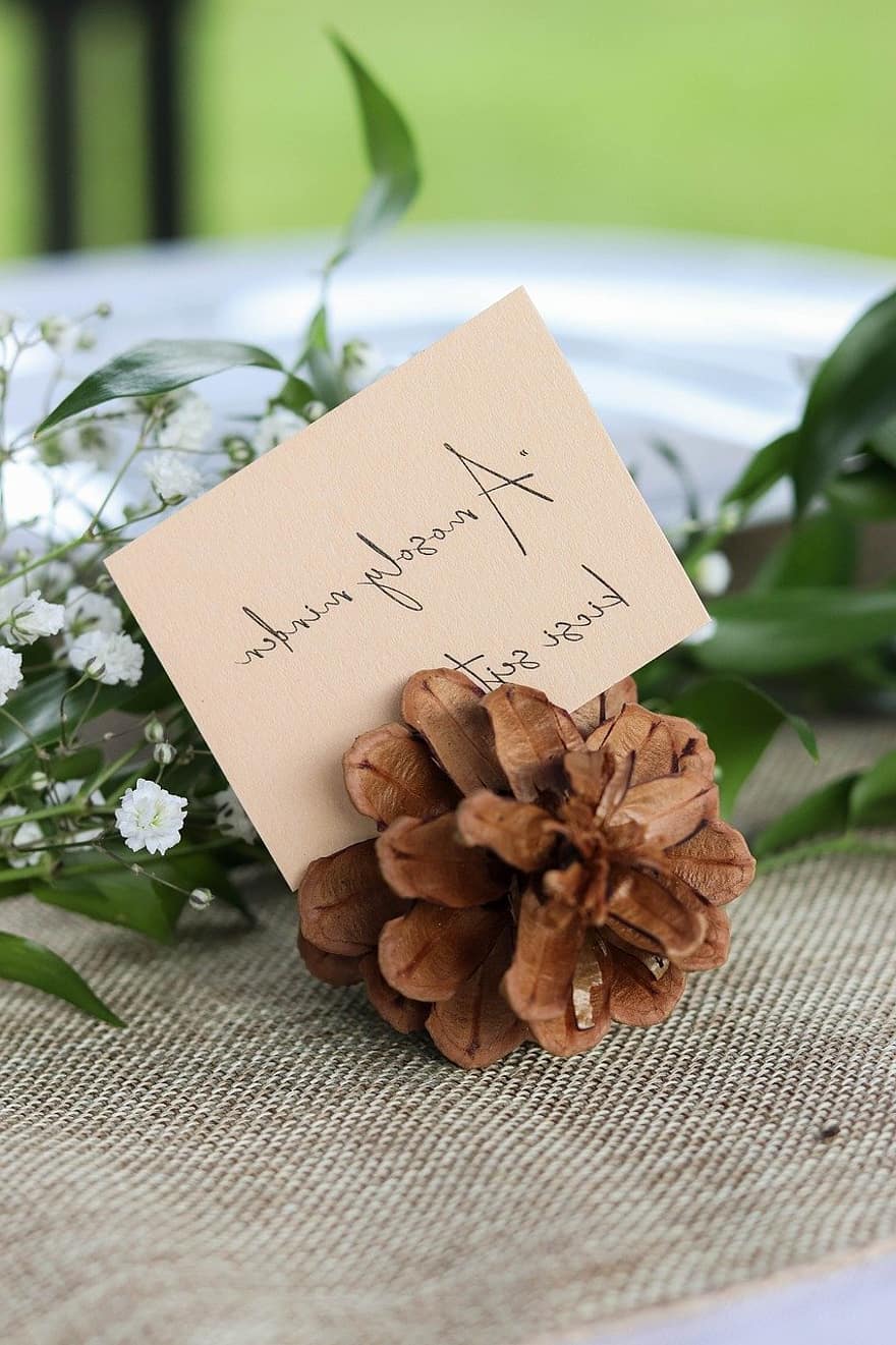 pine cone, card, flowers