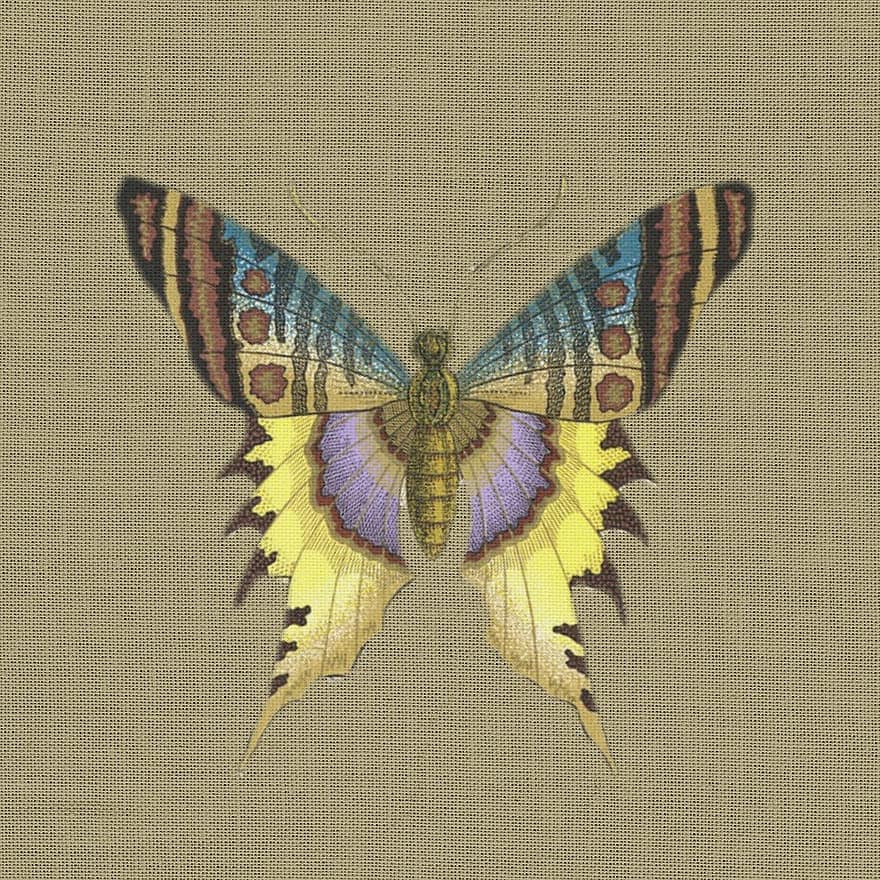 Butterfly, Yellow, Blue, Purple, Color, Scrapbook, Page, Design, Vintage, Card, Decoration