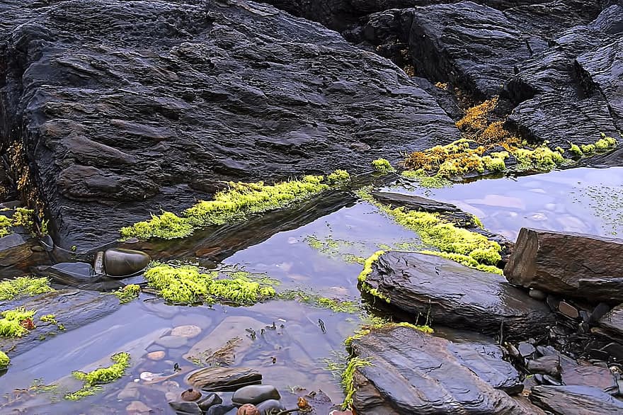 Moss, Rocks, Stream, Tidal Pond, Water, rock, landscape, stone, summer, forest, green color