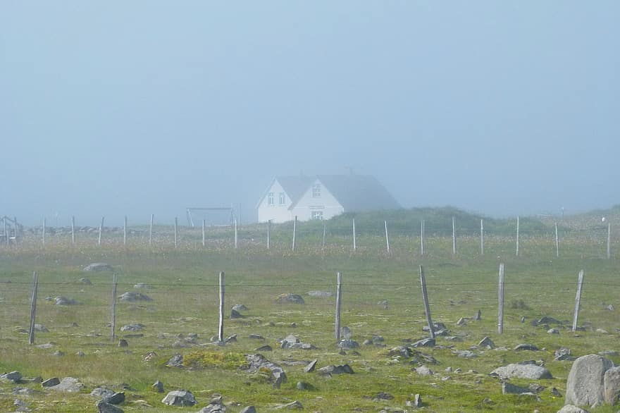 IJsland, mist, eenzaamheid, reizen, rouw, ga weg, landschap