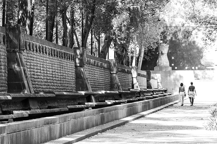 chapultepec, cdmx, Meksika, Chapultepec parks, staigāt, melns un balts, fotogrāfija