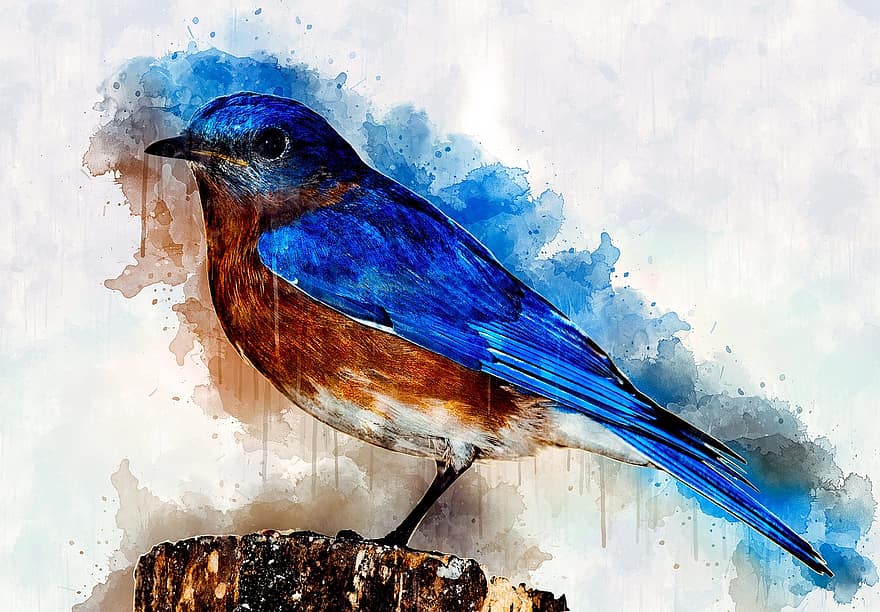 acquerello, uccello, natura, artistico, design, pittura
