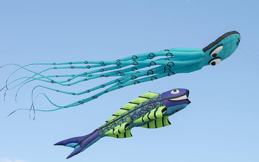 воздушный змей, летающий, небо, рыба, осьминог, ветер, игрушка, синий, разноцветный, иллюстрация, зеленого цвета