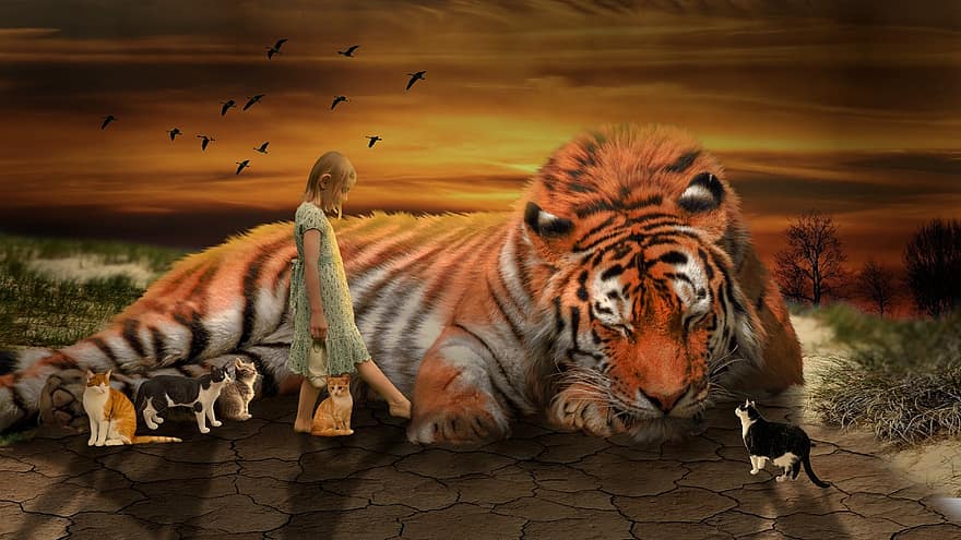 Tygrys, dziewczynka, Fantazja, mistyczny, świat zwierząt, tajemniczy, magiczny, koty, kot, kotek, zachód słońca
