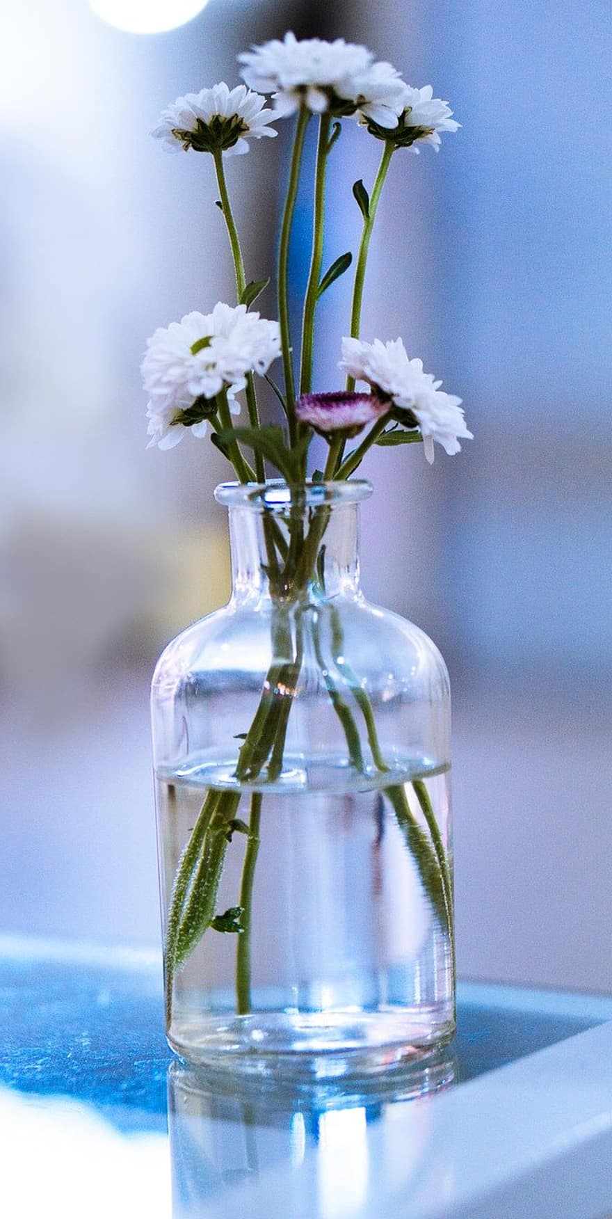 floral arrangement, flowers, flower vase, vase, flower, plant, close-up, bouquet, freshness, leaf, table