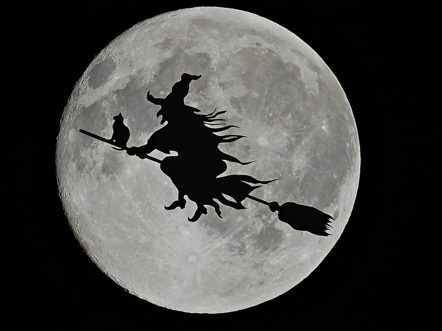 lune, sorcière, Chats noirs, Halloween