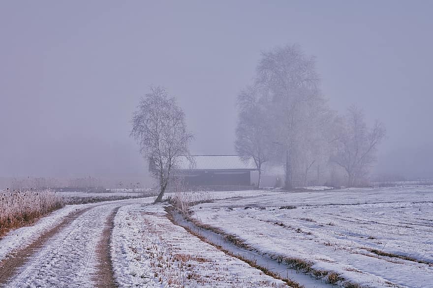 droga polna, śnieg, zimowy, Chata, stodoła, mgła, Droga, ścieżka, mróz, zimno, drzewa