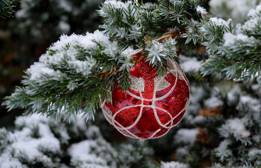 クリスマス、オーナメント、デコレーション、季節の、冬、雪、モミの木、クリスマスの飾り、クリスマスボール、屋外、Myfestiveseason