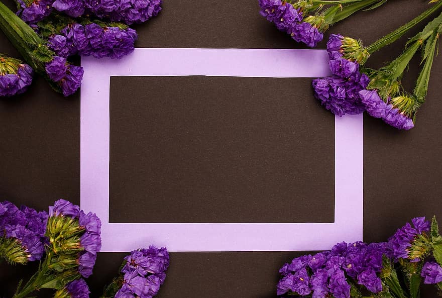 Frame, Flowers, Floral Frame, Copy Space, Floral Mockup, Floral Composition, Flat Lay, Greeting Card, Purple Frame