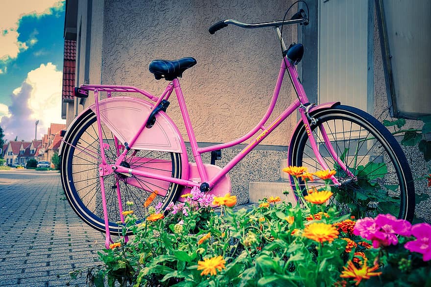 cykel, rosa, årgång, kvinnors cykel, glad, holländska, design, dekorativ, färgrik, konst, urban