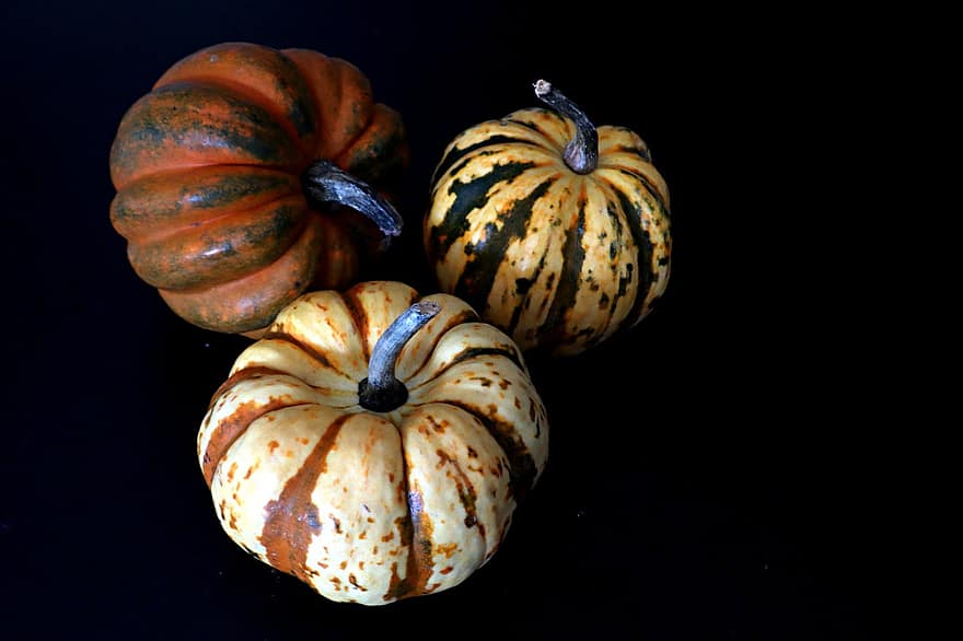 Pumpkins, Vegetables, Food, Harvest, Produce, Organic, pumpkin, halloween, autumn, vegetable, october