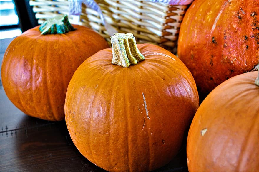 pompoenen, squash, groenten, pompoen, herfst, halloween, oktober, groente, kalebas, seizoen, decoratie