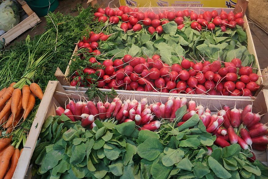 zeleniny, organický, ředkev, trh