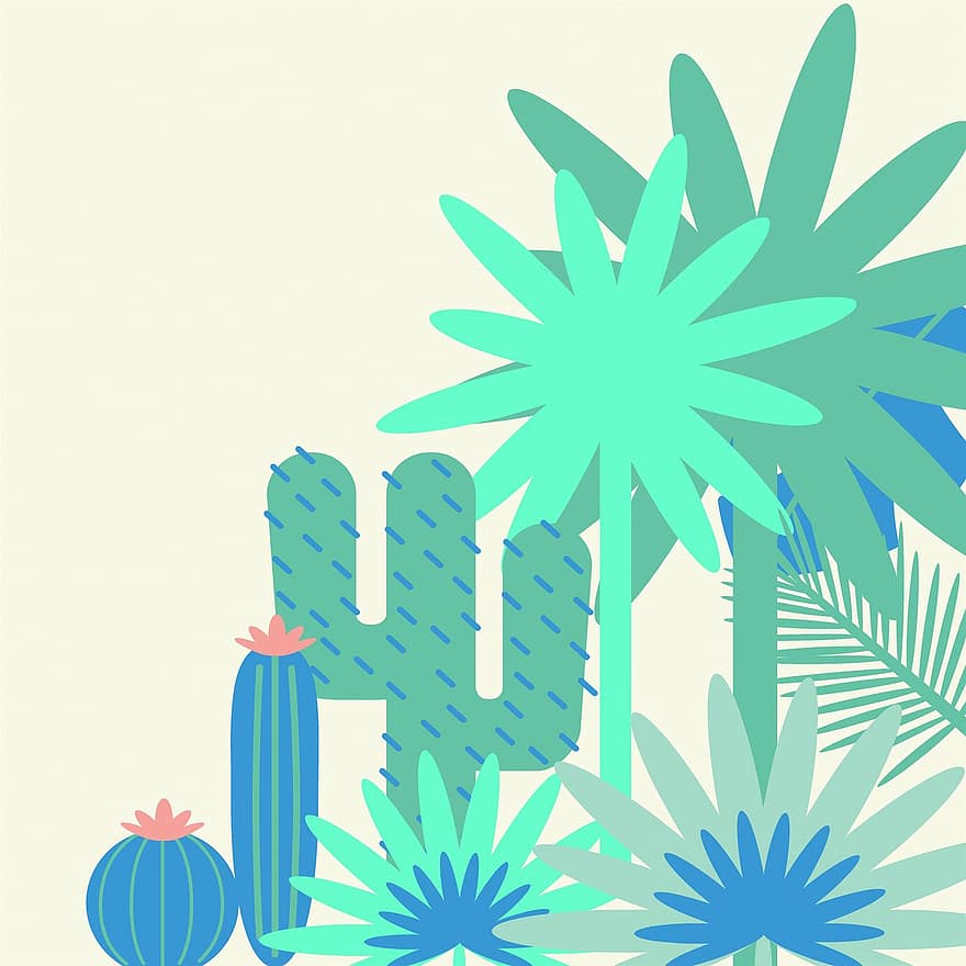 Fond de désert, cactus, palmiers, désert, plante, la nature, vert, jardin, texture, tropical, univers