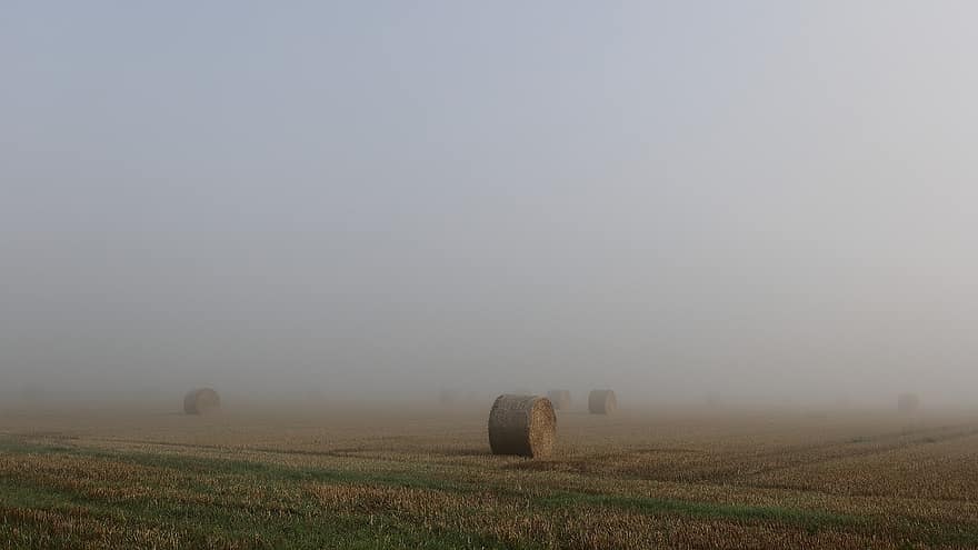 Round Bales, Field, Fog, Hay, Harvest, Farm, Nature, Straw, Hay Bales, Landscape, Countryside