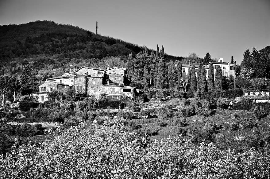 Town, Village, Countryside, Houses, Monochrome, Tuscany, Italy, black and white, landscape, rural scene, farm
