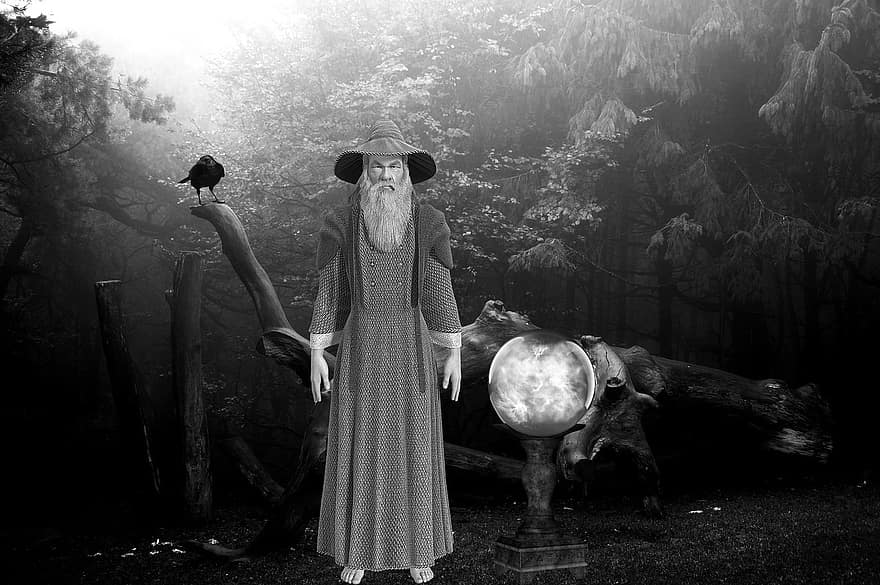 Wizard, Forest, Crow, Magic Ball, Fantasy, black and white, men, women, one person, adult, tree