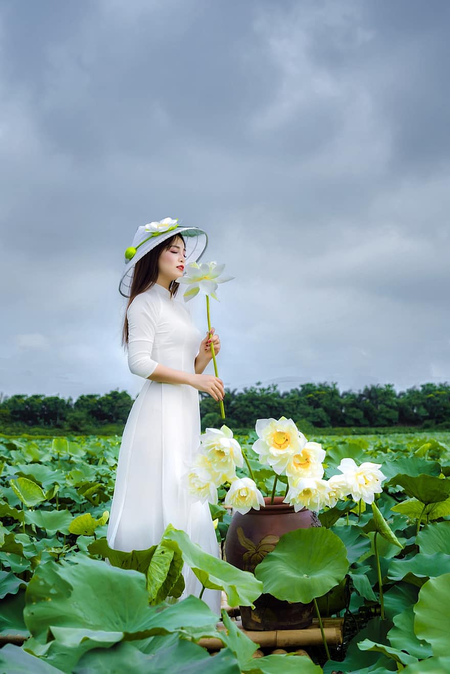 สาว, ดอกบัวสีขาว, เวียดนาม, เอเชีย, ขาว, บัว, ดอกไม้, ฤดูร้อน, ธรรมชาติ, ท้องฟ้า, ภูมิประเทศ