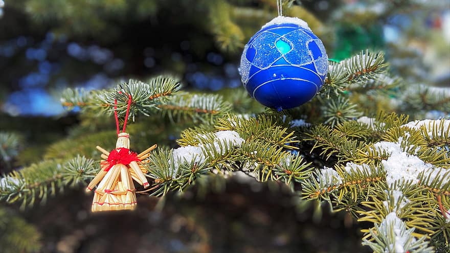 vacaciones, Navidad, árbol joven, picea, árbol de Navidad, adornos, decoración, árbol, celebracion, invierno, temporada