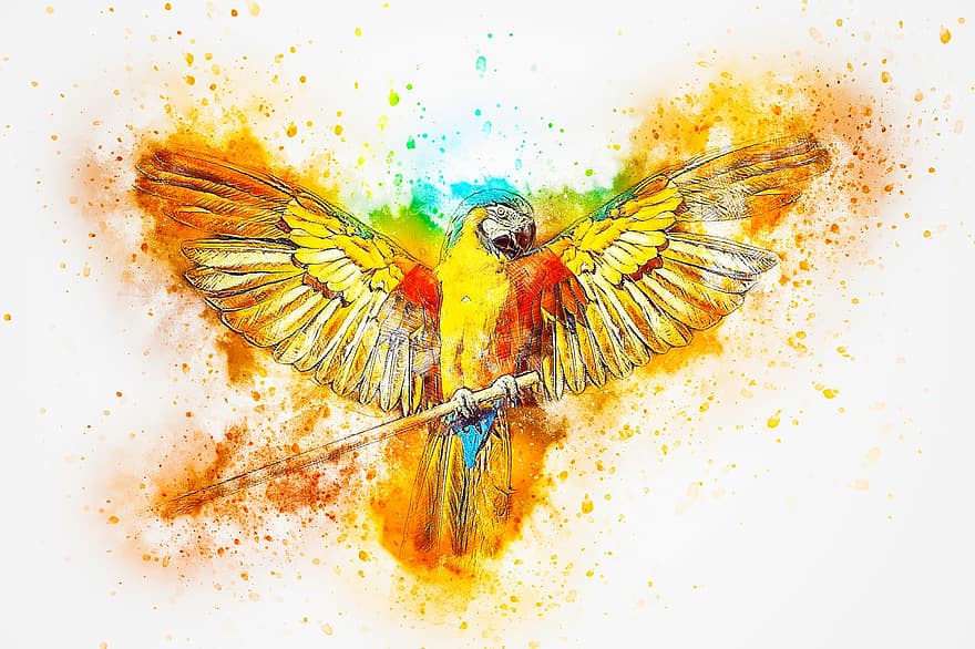 pássaro, ara, papagaio, asas, penas, aguarela, animal, amarelo, azul, arara, colorida