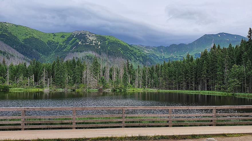 Mountains, Tatra Mountains, Poland, Nature, mountain, forest, landscape, green color, summer, water, tree