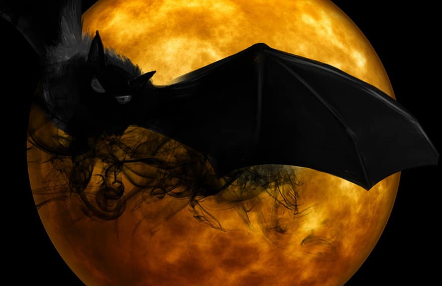 šikšnosparnis, naktis, Creepy, tamsoje, mistinis, niūrus, mėnulio šviesa, baugus, nuotaika, atmosfera, mįslingas