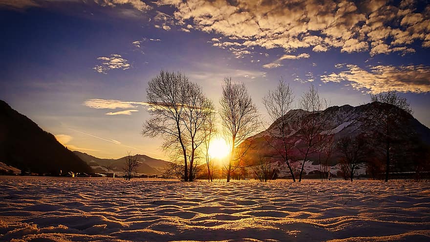 matahari terbenam, musim dingin, bidang, salju, gunung, pohon, matahari, sinar matahari, senja, langit malam, suasana hati