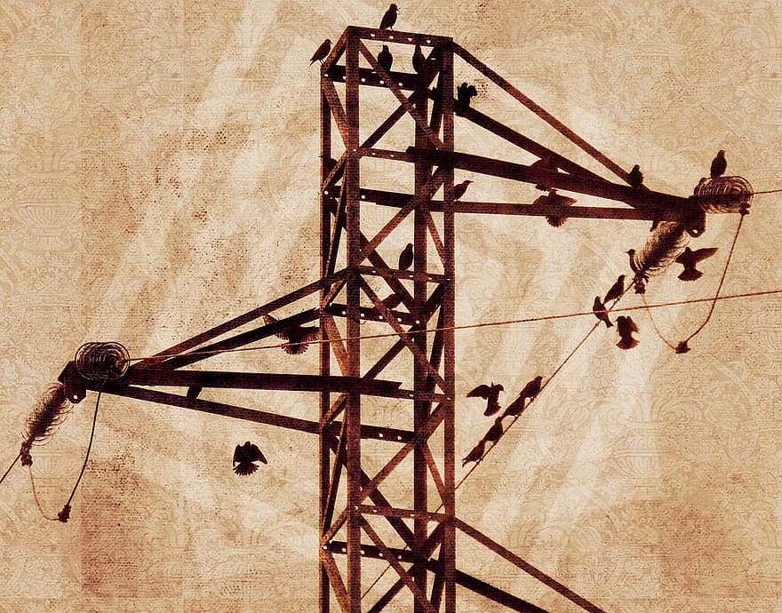 torre electrica, aves, cables, perturbador