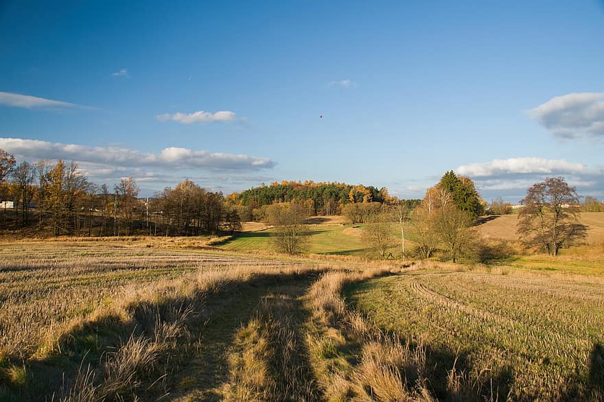 가을, 목초지, 한 지방, 남쪽 보헤미아, 체코 공화국