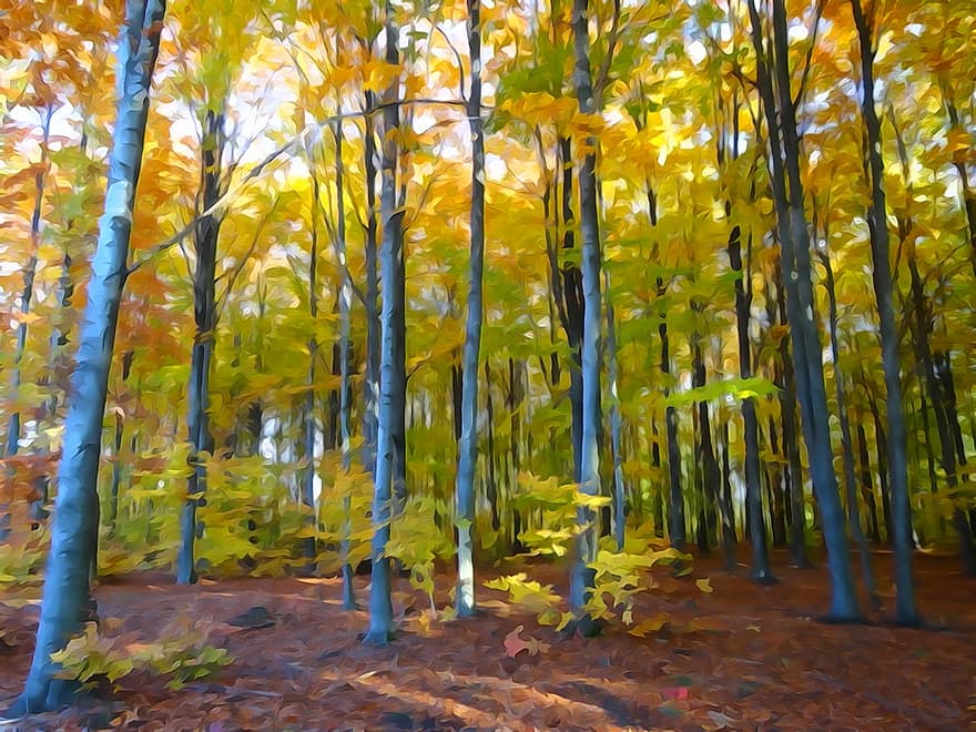 mežs, rudenī, akvarelis, rudens zelts