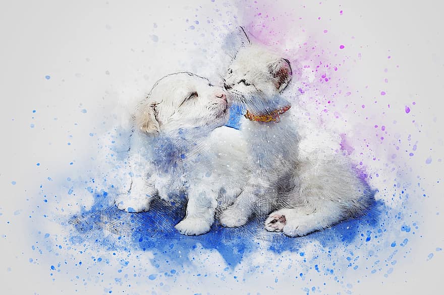 Cat, Dog, Cute, Art, Abstract, Watercolor, Vintage, Romantic, Puppy, Kitty, Emotion