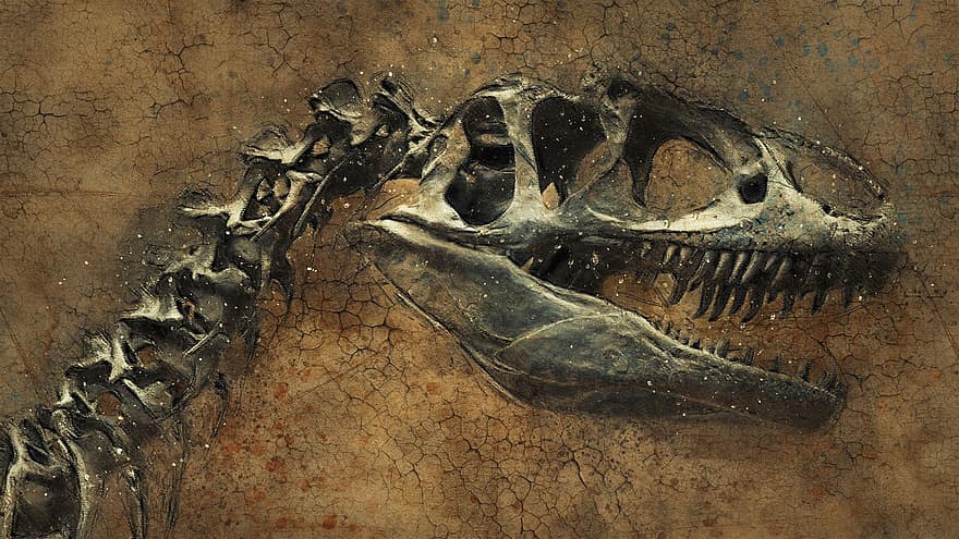 khủng long, bộ xương, lý lịch, kết cấu, tử vong, cổ điển, vết nứt, đất, trang trí, trang, tối