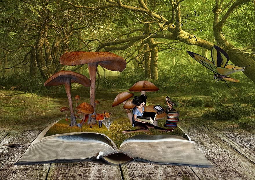 Wald, Landschaft, Pilze, Bücher, Fantasie, Fuchs, Mädchen, Landschaftlich mystisch, Atmosphäre, Frau, Märchen