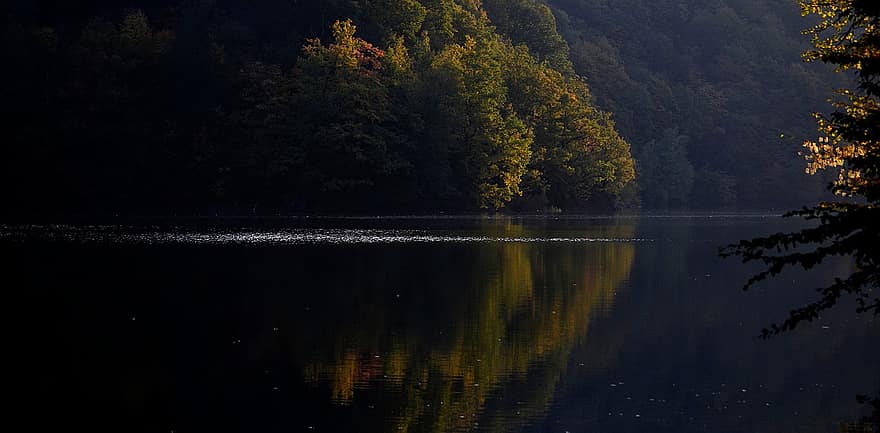 jezero, les, Příroda, stromy, voda, západ slunce, odraz, soumrak, večer, podzim, strom