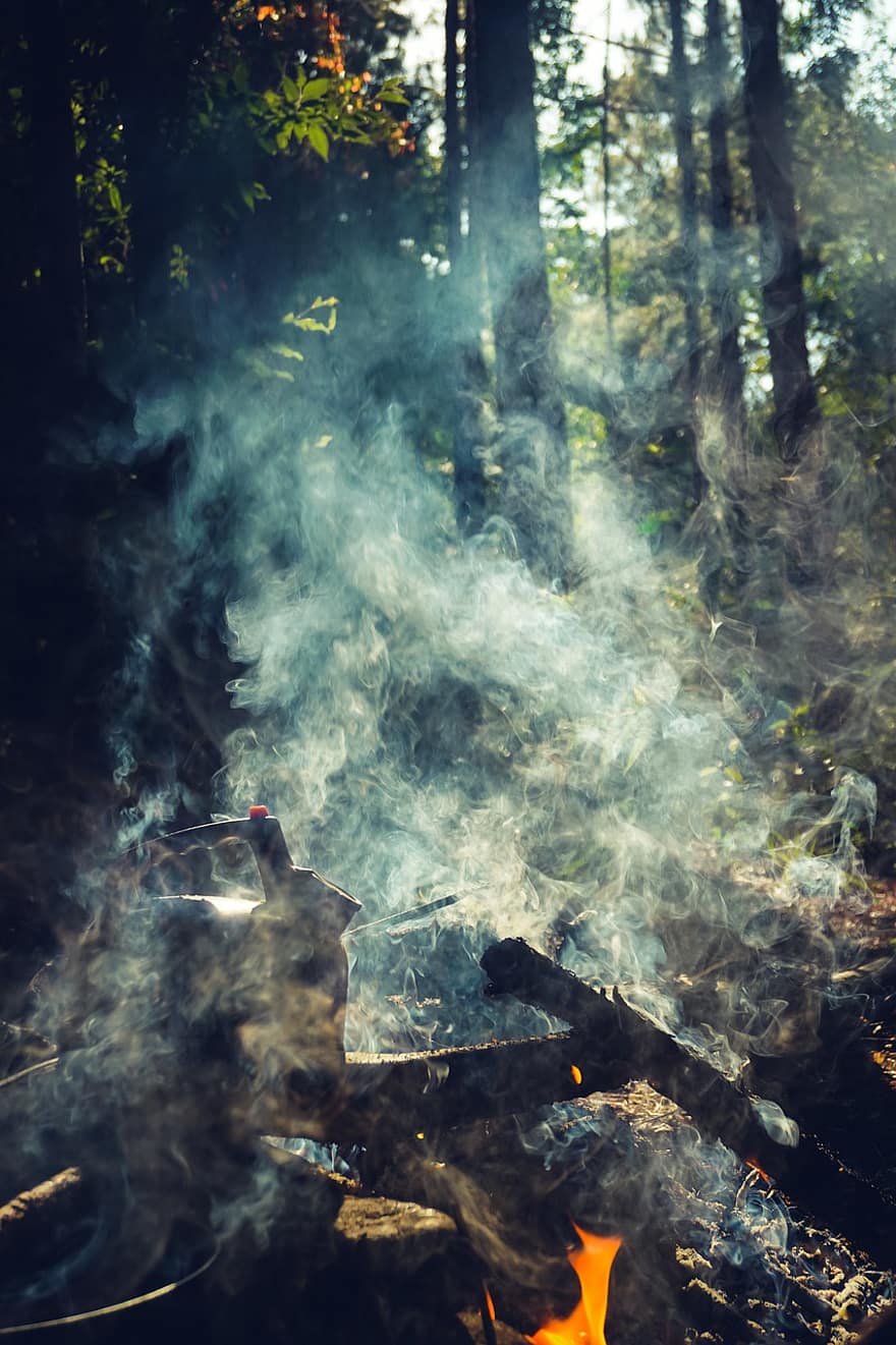 дим, лагерен огън, чайник, слънчева светлина, готварски, къмпинг, гора